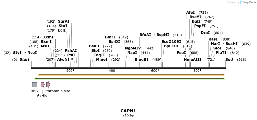 31594_map