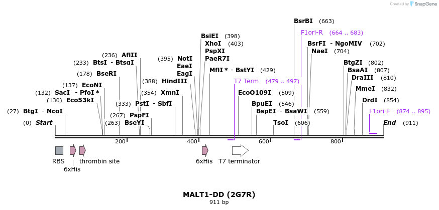 31600_map