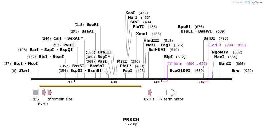 31603_map