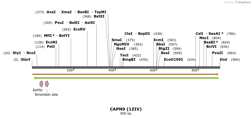 31604_map