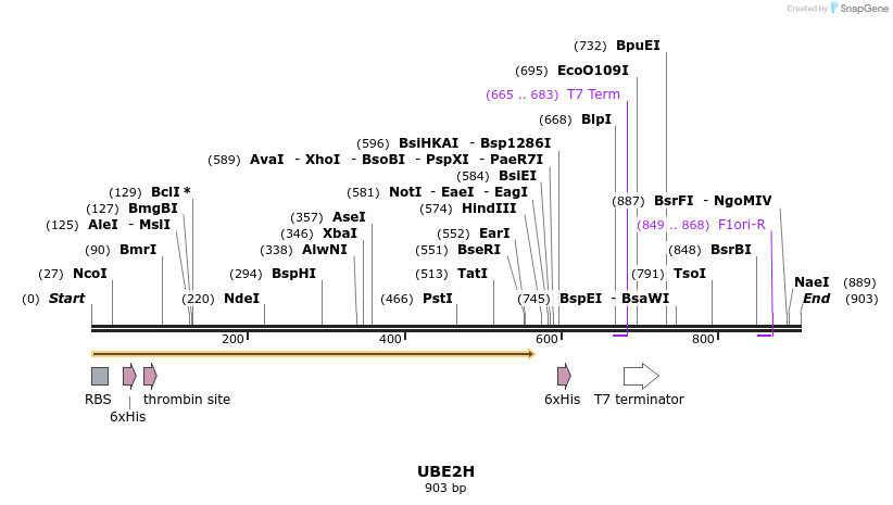 31605_map