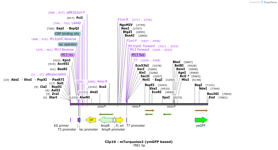 316050_map