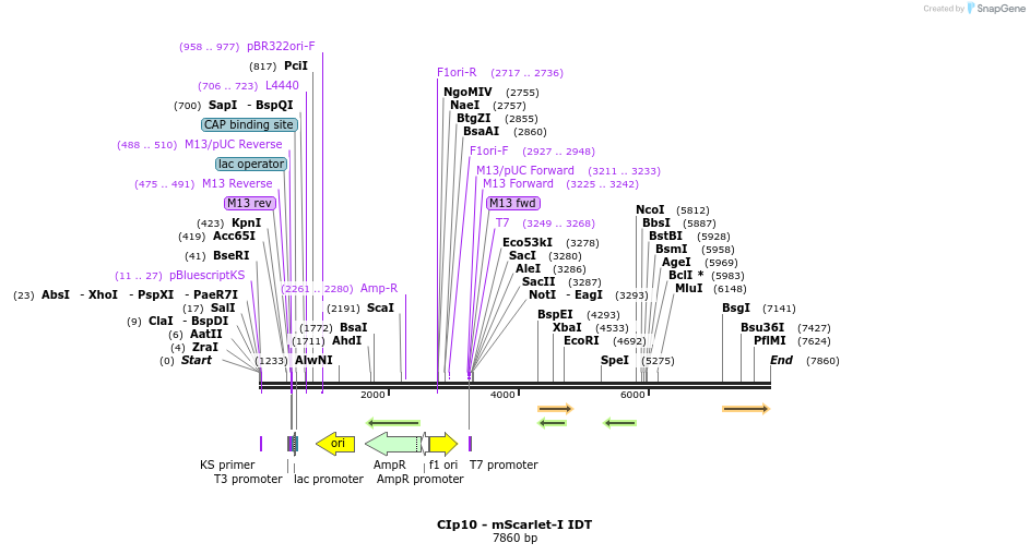 316051_map