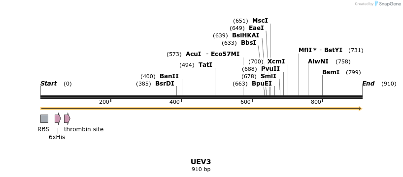 31608_map