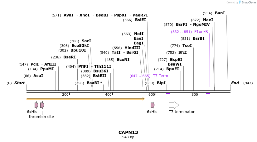 31609_map