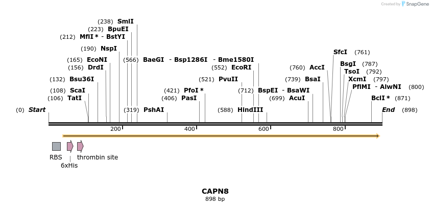 31610_map
