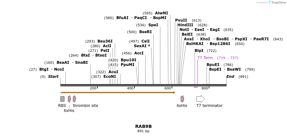 31612_map