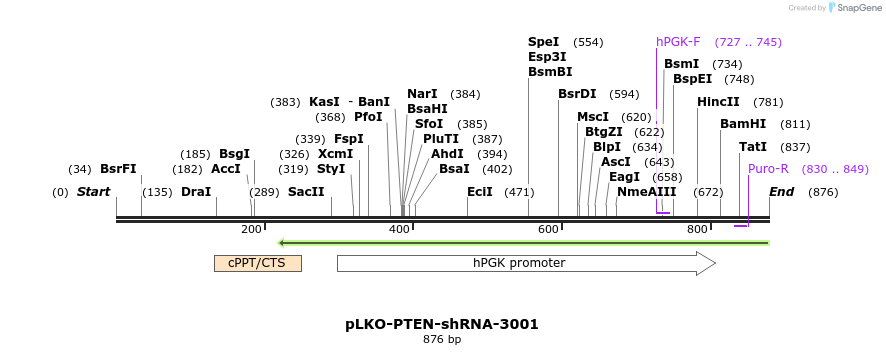 31618_map