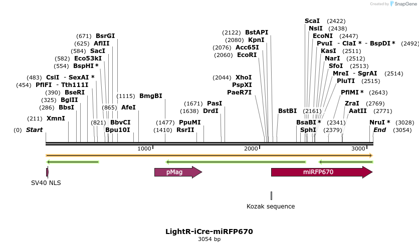 316205_map
