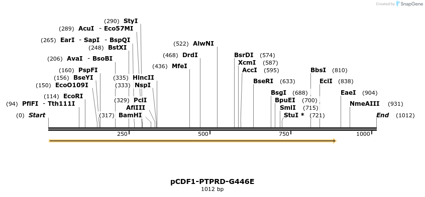 31622_map