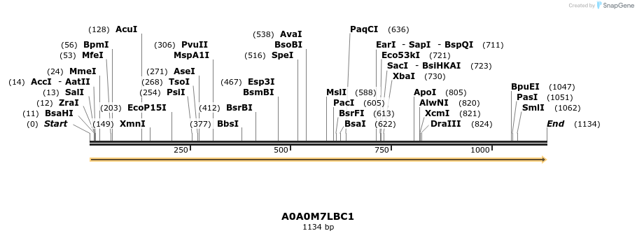 316236_map