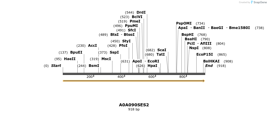 316238_map