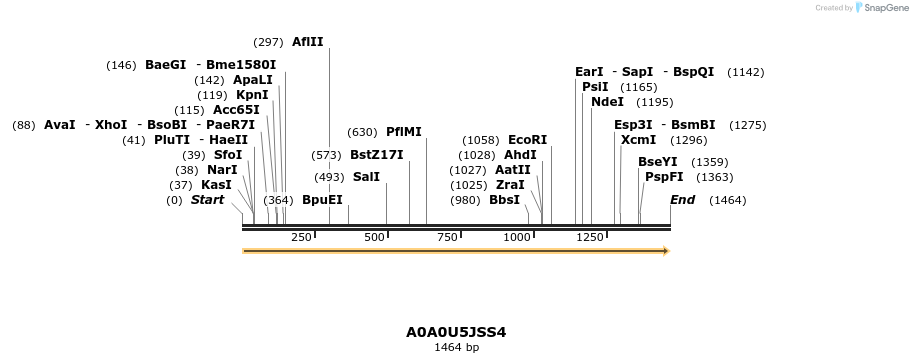 316240_map
