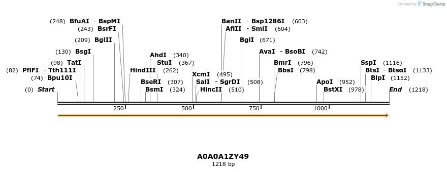 316246_map