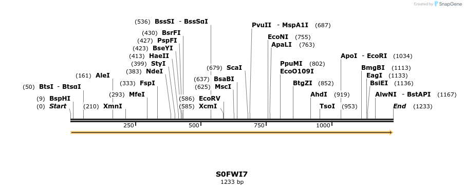 316256_map