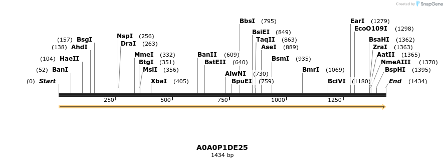 316260_map