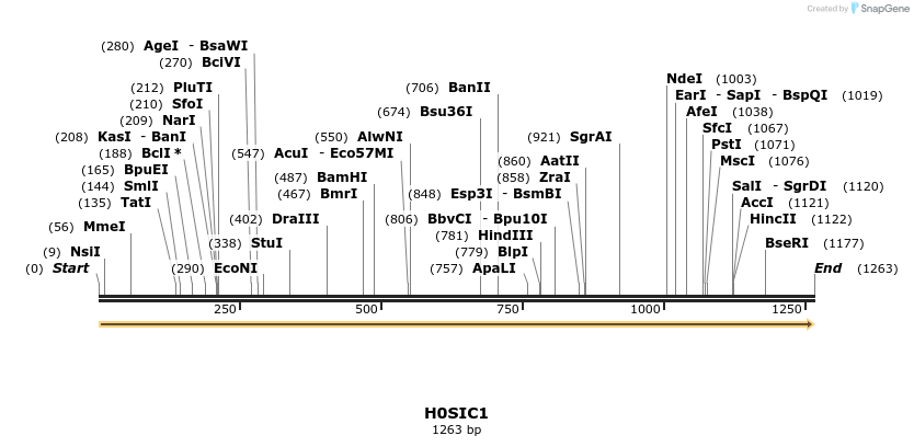 316270_map