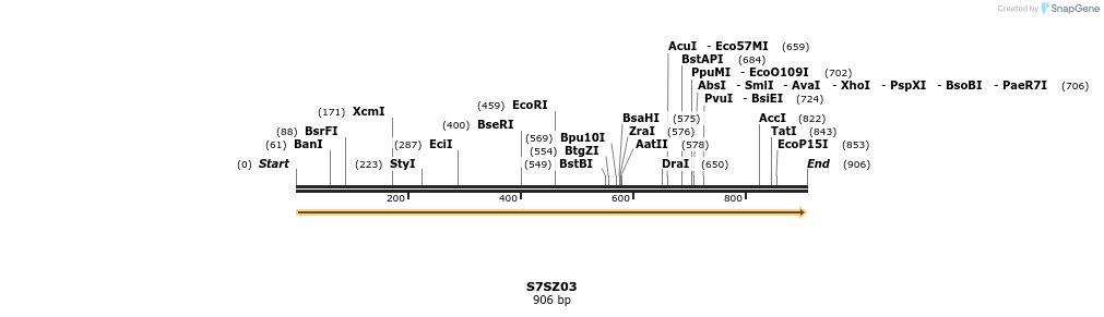316272_map