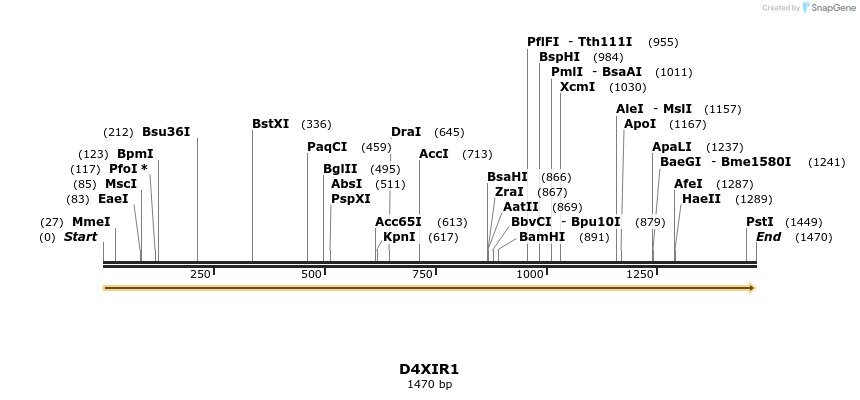 316274_map