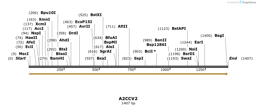 316278_map