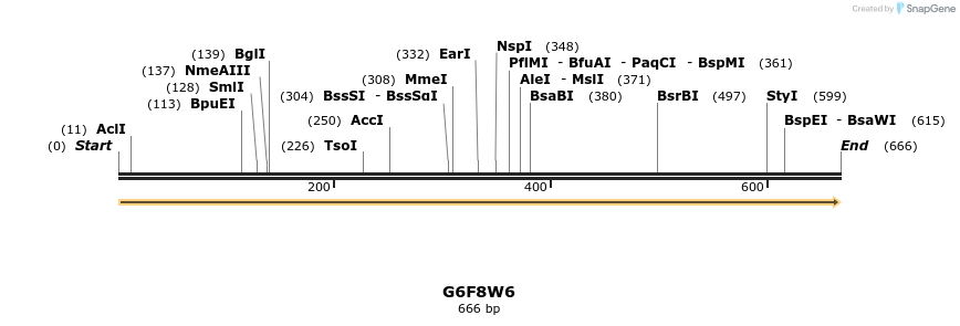 316282_map
