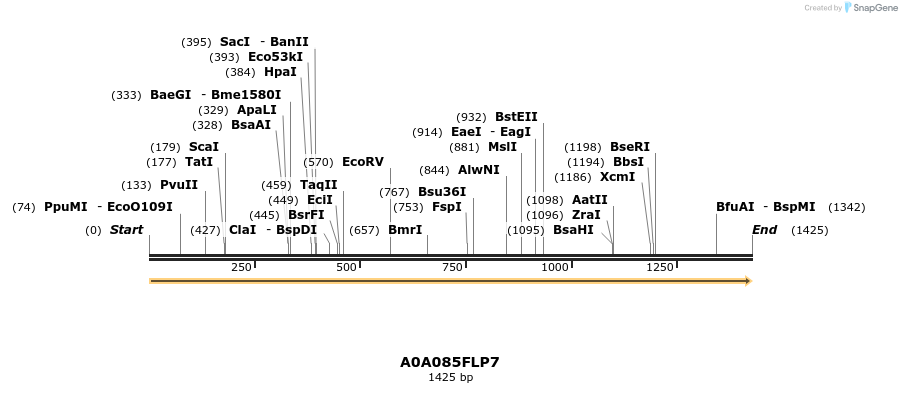 316284_map