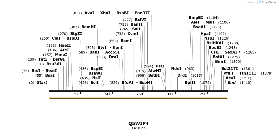 316288_map