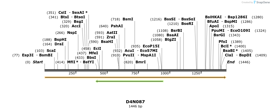 316290_map