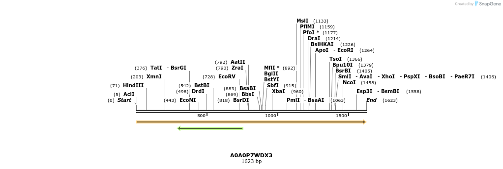 316298_map