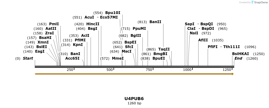 316300_map