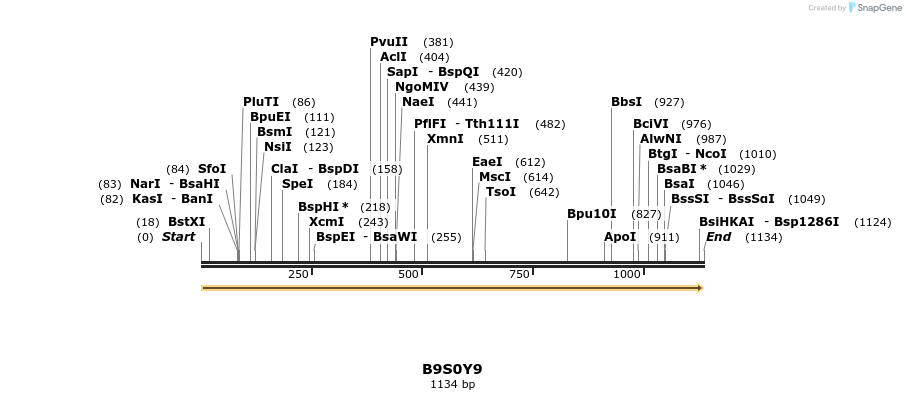 316302_map