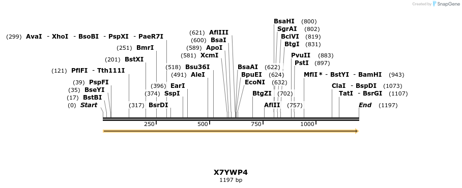 316304_map
