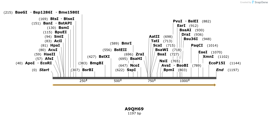 316306_map