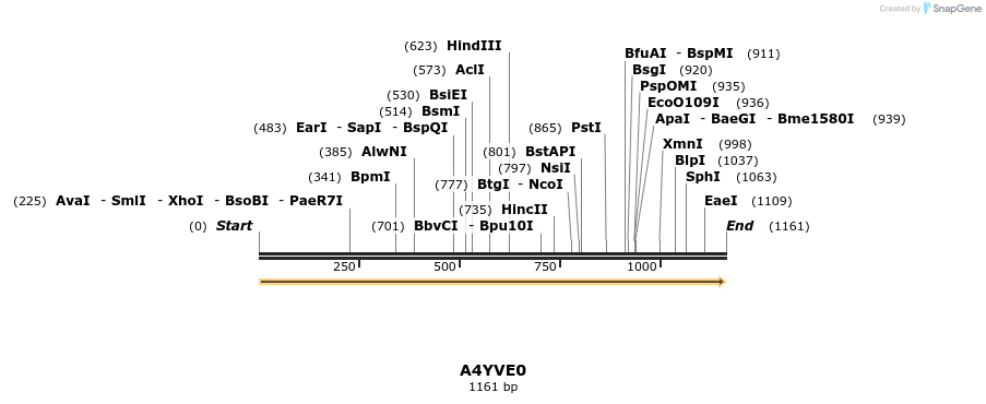 316308_map
