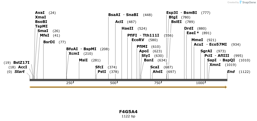 316312_map