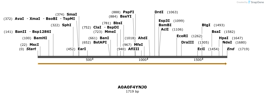 316314_map