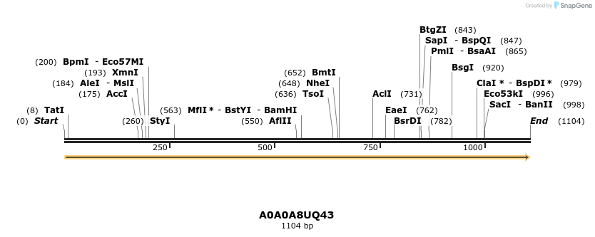 316318_map
