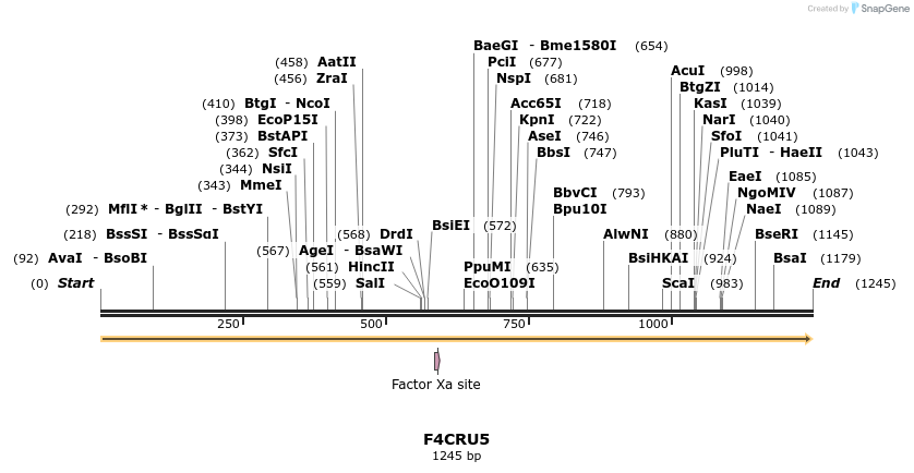 316322_map