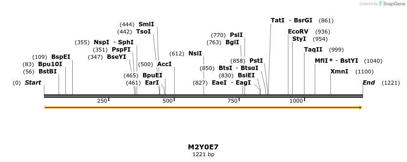 316324_map
