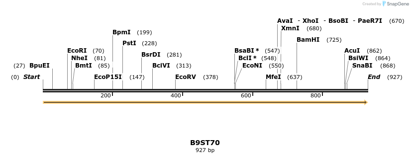 316326_map