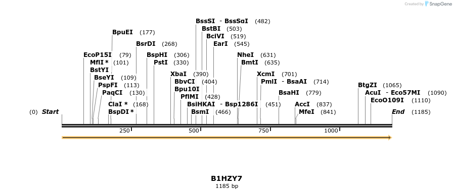 316332_map