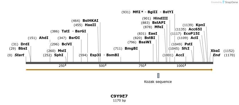 316334_map