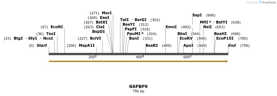 316336_map