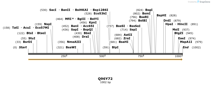 316338_map