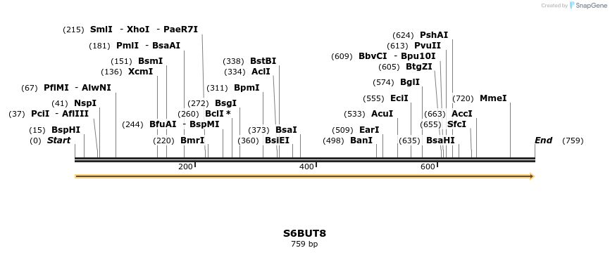 316342_map