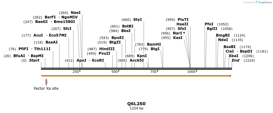 316344_map