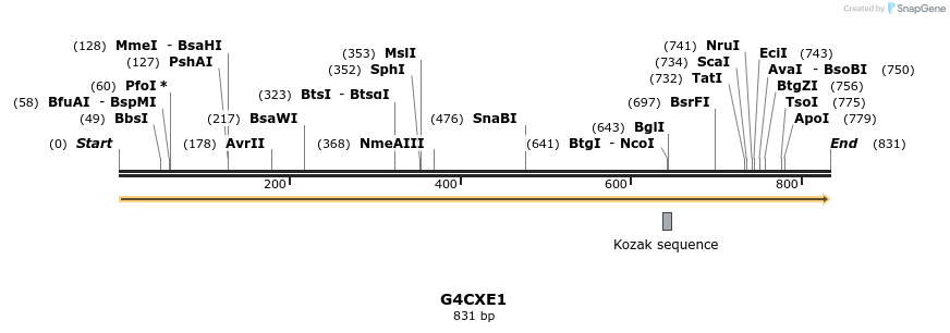 316346_map