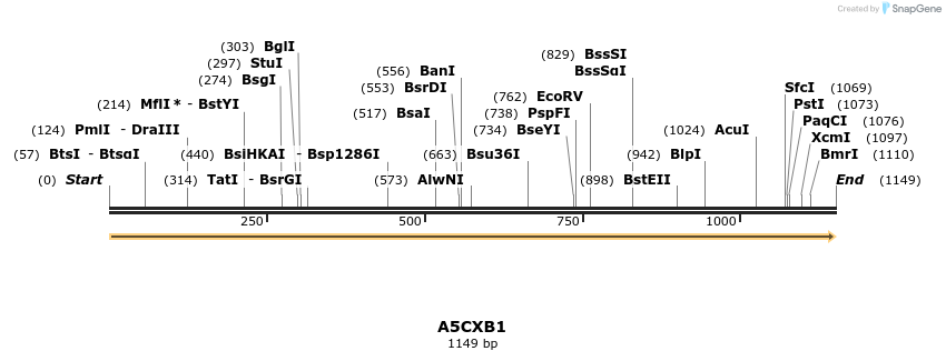 316348_map