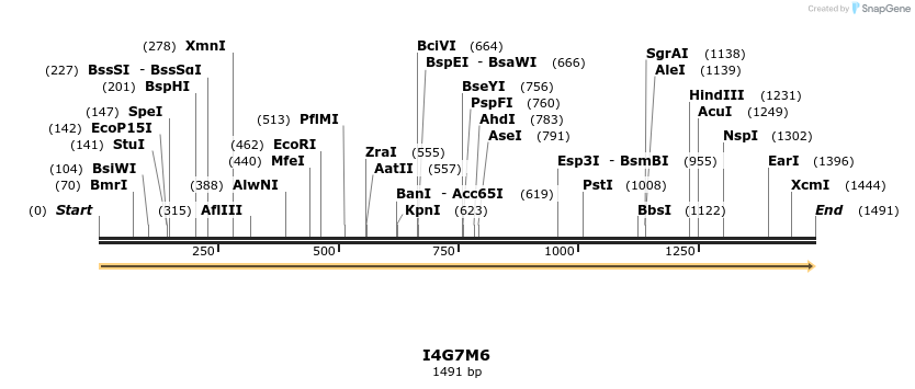 316356_map