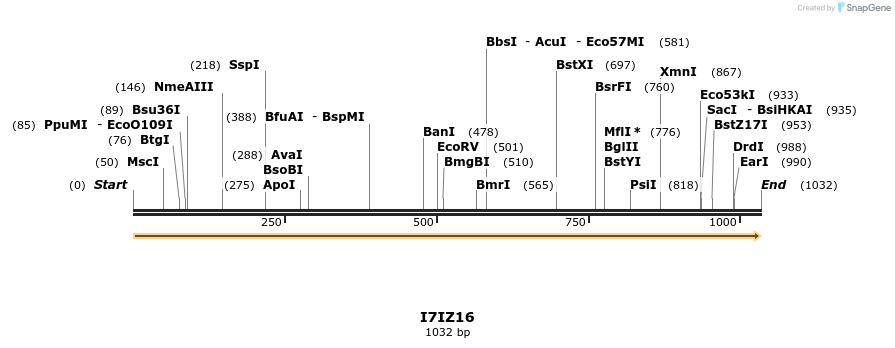 316360_map